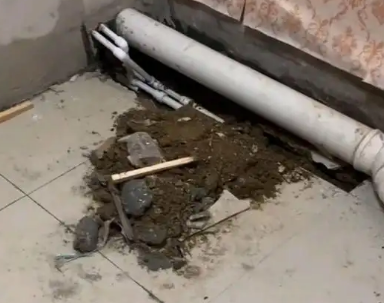 湛江市卫生间漏水检测哪家好