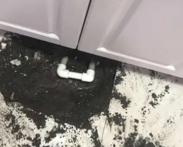 湛江市查漏水哪家好